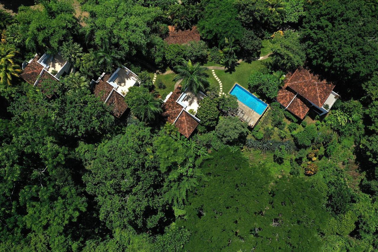Casa Frangipani Hotel มอนเตซูมา ภายนอก รูปภาพ